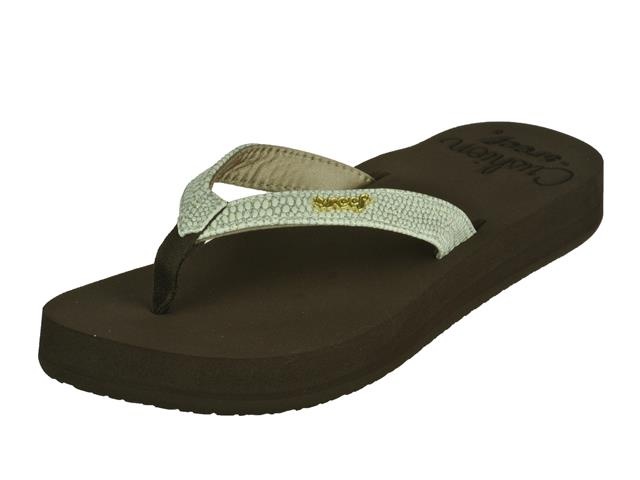 Reef Starcushion Sassy reef kopen in de aanbieding