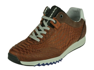 Floris Van Bommel-sportieve schoenen-Floris Sport1