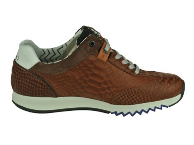 Floris Van Bommel-sportieve schoenen-Floris Sport2