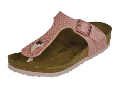 Birkenstock-slippers-Gizeh1