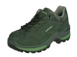 Lowa-wandelschoenen-Renegade GTX Low Ws1