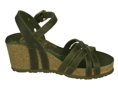 Vera Basic B6