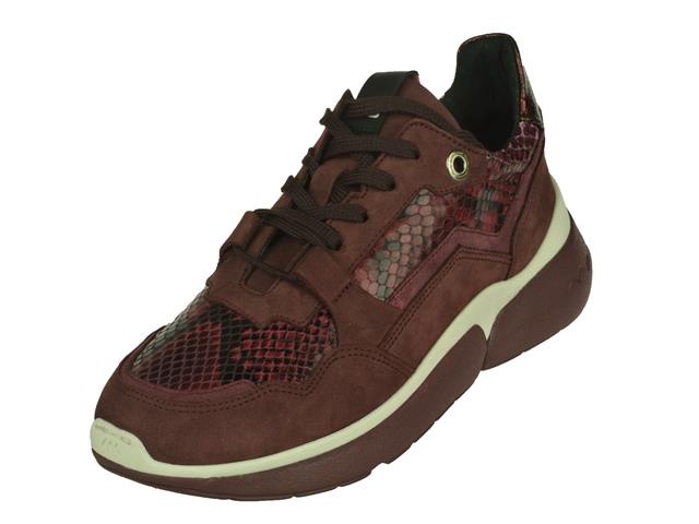 Floris Van Bommel Floris van Bommel sport sportieve lage veterschoen