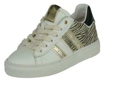 Moya Zebra