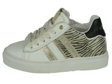 Moya Zebra