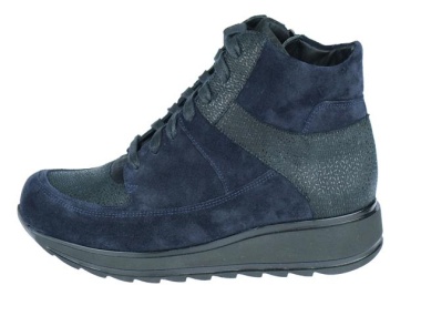 Veterboot