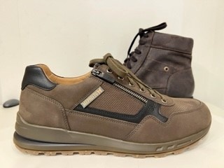 Mephisto Bradley