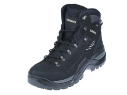 Renegade Evo GTX
