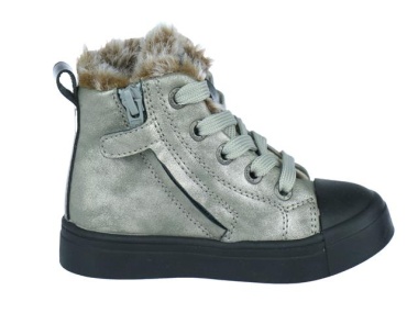 Veterboot