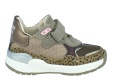 Trainers
