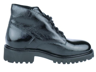 Halfhoge veterboot