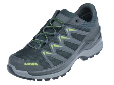 Innox Pro GTX Lo