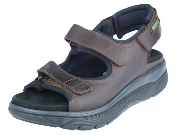 Mephisto Wilfried