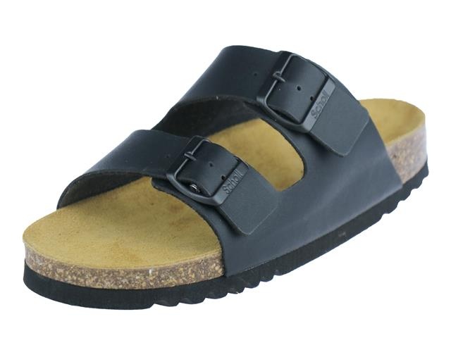 Scholl Andrea
